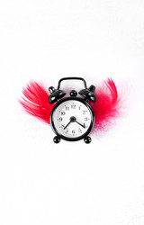 Similar image 21028577