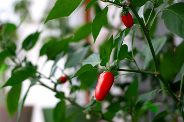 Similar image 21025565