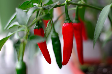 Similar image 21025566