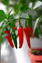 Similar image 21028579