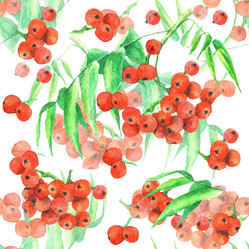 Similar image 21039490