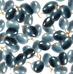 Similar image 21044039