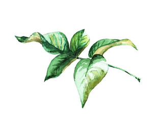 Similar image 21044040