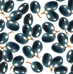 Similar image 21044042