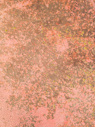 Similar image 21025581