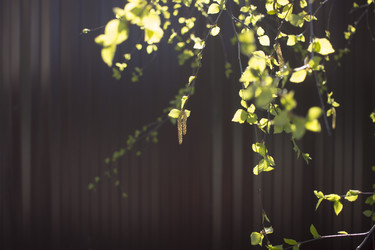 Similar image 21030349