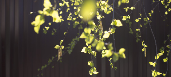 Similar image 21030350