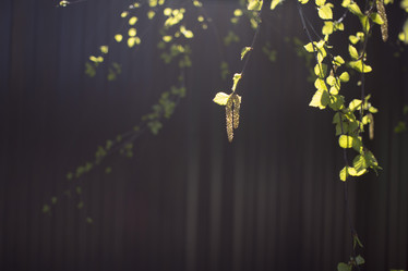 Similar image 21030354