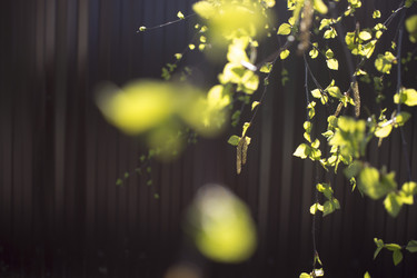 Similar image 21030356