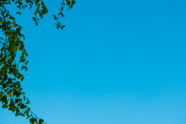 Similar image 21030357