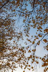 Similar image 21030360