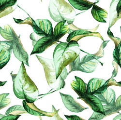 Similar image 21044044