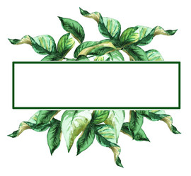 Similar image 21044045