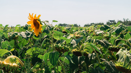 Similar image 21025601