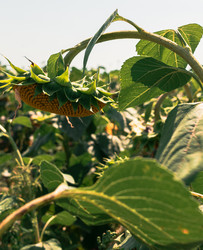 Similar image 21025602