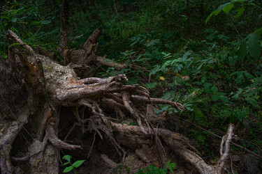 Similar image 21025724