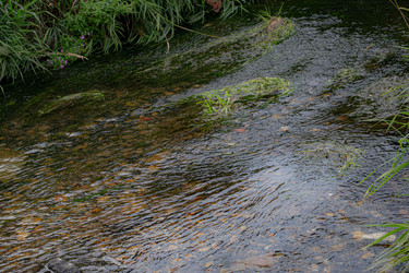 Similar image 21025725