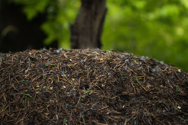 Similar image 21025727