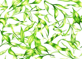 Similar image 21049165