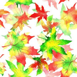 Similar image 21031627