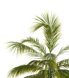 Similar image 21045451