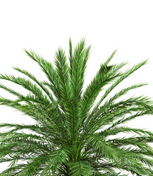 Similar image 21045452