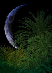 Similar image 21045456