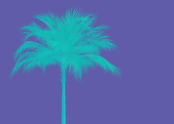 Similar image 21045466