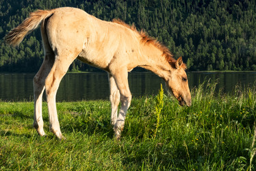 Similar image 21026709