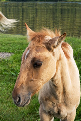 Similar image 21026711