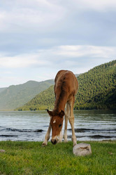 Similar image 21026713