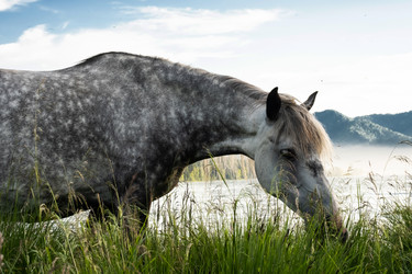 Similar image 21026716