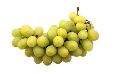 Similar image 21026654