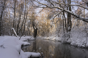 Similar image 21026655