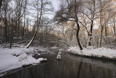 Similar image 21026656