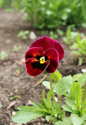 Similar image 21025733