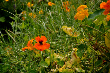 Similar image 21056923