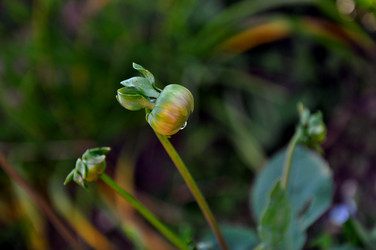 Similar image 21056925