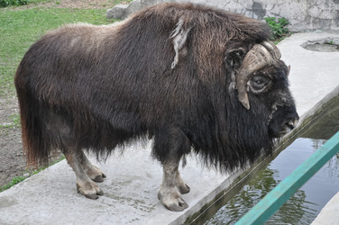 Similar image 21056933