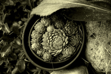 Similar image 21056936