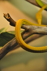 Similar image 21056937