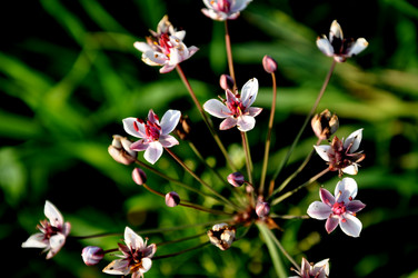 Similar image 21056594