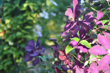 Similar image 21056019