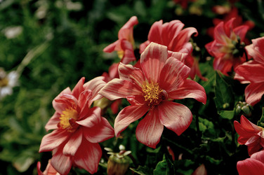 Similar image 21056025