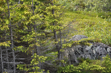 Similar image 21056027