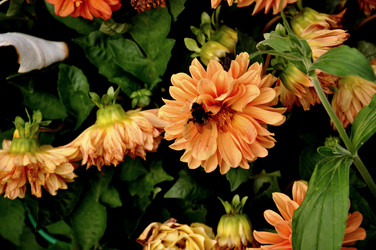 Similar image 21056031