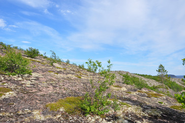 Similar image 21056605