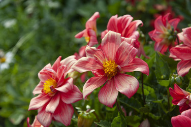 Similar image 21056619