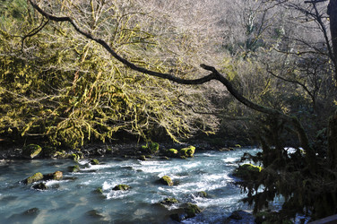 Similar image 21056042