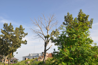 Similar image 21055528